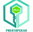 Стартует голосование за лучших риелторов 2016 года - 29.Ru