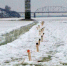 DSC00471 - Arh112.ru