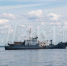 xt0gpcepKW big reduce350 - Arh112.ru
