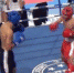 Егор Харченко из Котласа стал чемпионом Первенства Европы по кикбоксингу среди юниоров - ГТРК Поморье