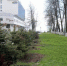 Фото: arhcity.ru - News29.Ru
