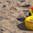 Фото: pixabay.com - News29.Ru