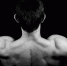 Фото: pixabay.com - News29.Ru
