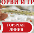 С 1 октября в Архангельске начала работу «горячая линия» по профилактике гриппа и ОРВИ - ArhRegion.Ru
