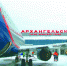 Фото: arhaero.ru - News29.Ru