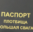 ГК «Титан» и САФУ разработали и утвердили паспорт плотбища «Большая Свага» - News29.Ru