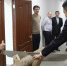 В САФУ открылась аудитория ООО «Трактородеталь Групп» - САФУ имени М.В. Ломоносова