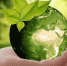 Фото: pixabay.com - News29.Ru