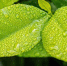 Фото: pixabay.com - News29.Ru