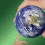 Фото: pixabay.com - News29.Ru