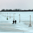 Актуальная информация по ледовым переправам на 25 февраля 2019 г. - Arh112.ru