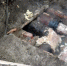 Фото: News29 - News29.Ru