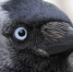 Фото: pixabay - News29.Ru