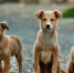 Фото: pixabay - News29.Ru