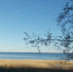 Фото: News29 - News29.Ru