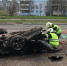 В ночном ДТП в Архангельске погиб молодой мужчина. Его автомобиль разнесло на куски - Tv29.Ru