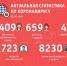 В Поморье выявили еще 239 случаев КОВИД - ИА Невские Новости