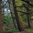 Фото: pixabay.com - News29.Ru