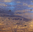 Фото: pixabay.com - News29.Ru