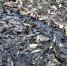 Фото: arh112.ru - News29.Ru