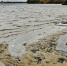 Фото: arh112 - News29.Ru