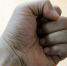 Фото: pixabay.com - News29.Ru
