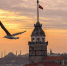Фото: pixabay.com - News29.Ru