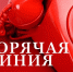 В прокуратуре г. Архангельска организована горячая линия по вопросам нарушения избирательного законодательства - Arh112.ru