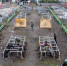 В Архангельске на площадке учебного центра «Орден» прошла традиционная военно-патриотическая игра «В зоне особого внимания» - ГТРК Поморье