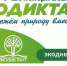 Акция пройдет в онлайн-формате - Пресс-центр Правительства