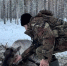 Дикие олени_ ошейник_WWF России - ИА Dvina29