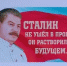 Коммунисты Архангельской области отметили 142 годовщину со дня рождения И.В. Сталина - КПРФ