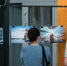 В прошлом году по итогам фотопленэра была организована выставка - Пресс-центр Правительства
