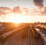 Фото: pixabay.com - News29.Ru
