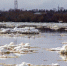 Фото: News29 - News29.Ru