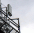 Tele2 ускорила мобильный интернет для дачников Поморья - News29.Ru