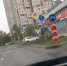 Северодвинцы фотографируют разгуливающего по городу медведя - News29.Ru