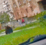 Власти успокоили горожан, взволнованных разгуливающим по Северодвинску медведем - News29.Ru