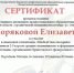 Языковая олимпиада «Medical terra incognita» - Архангельский медицинский колледж