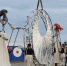 Фото: News29 - News29.Ru