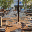 Фото: News29 - News29.Ru