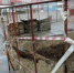 Фото: News29 - News29.Ru