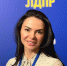 Мария Харченко: Нужна федеральная программа по ремонту объектов культуры в городах - ЛДПР