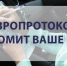 PNG Файл - УМВД Архангельской области