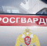 В Няндоме наряд Росгвардии по горячим следам задержал подозреваемого в хищении алкоголя - Росгвардия
