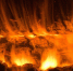В Архангельской области леса горят из-за людей - ИА Двина-Информ