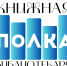 Выставочная деятельность библиотек: для новичков и профессионалов - Библиотеки Архангельской области