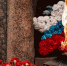 Фото: центр «Патриот» - News29.Ru