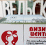 Вельск приглашает в гости! - Библиотеки Архангельской области