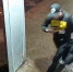 В Северодвинске задержали блудня, укравшего в торговом центре две насосные станции - Tv29.Ru